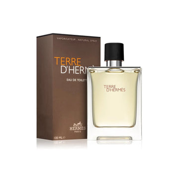 Terre D’hermes For Men By Hermes